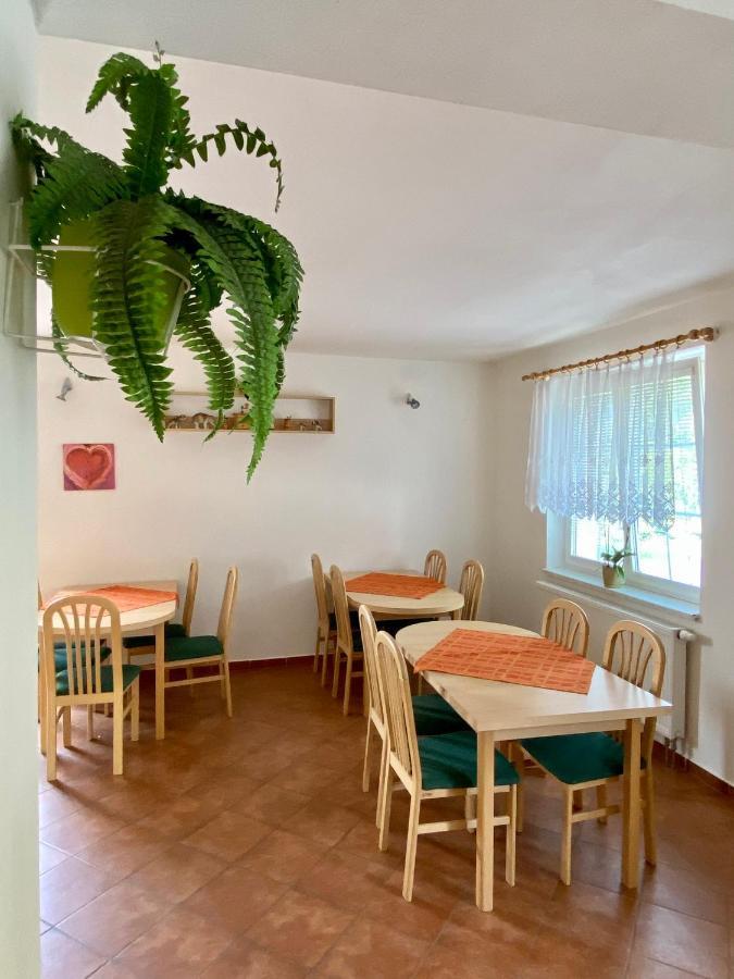 Františkovy Lázně 维拉荷达旅馆酒店 外观 照片